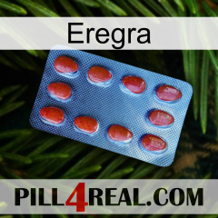 Eregra 06